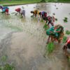 farmers in India